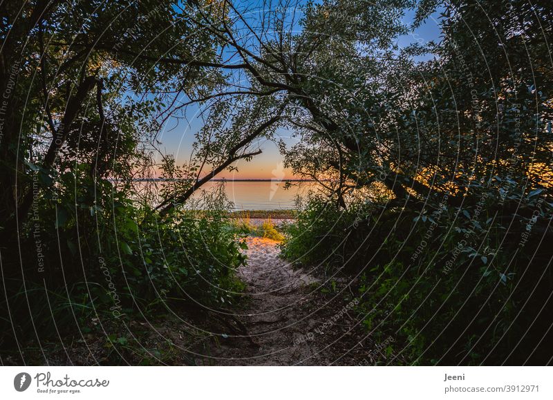 Waldiger Strandzugang mit sandigem Weg | Warmer Sommerabend am Meer mit blauem Himmel und schönem Sonnenuntergang strandzugang Abend Abenddämmerung Küste