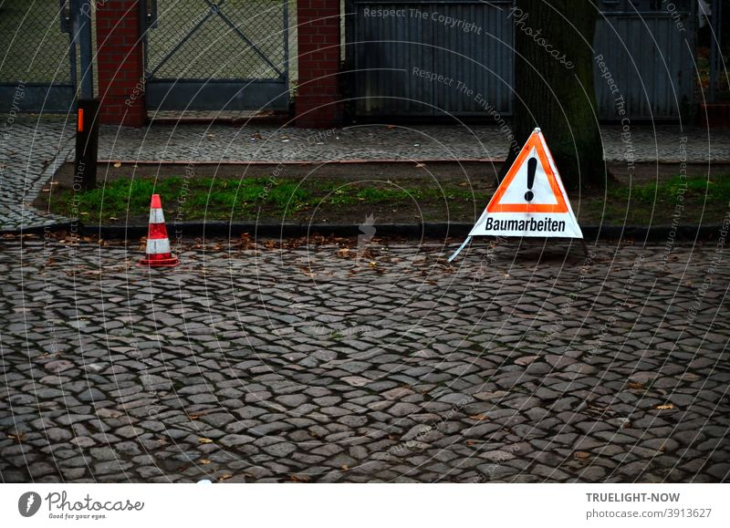 Am Rand einer dunklen Kopfsteinpflaster Straße vor einem Baumstamm auf dem Grünstreifen ein rot weisses Warndreieck mit schwarzem Ausrufezeichen und der Aufschrift Baumarbeiten, daneben ein kleiner rotweisser Warnkegel