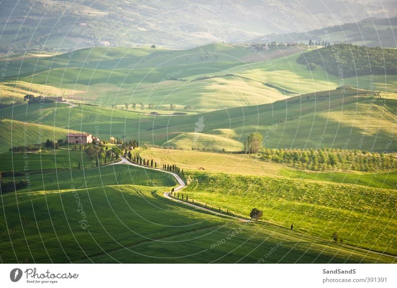 Grüne toskanische Hügel schön Ferien & Urlaub & Reisen Tourismus Sommer Haus Natur Landschaft Gras grün Idylle Europa Italien Italienisch Toskana Ackerbau