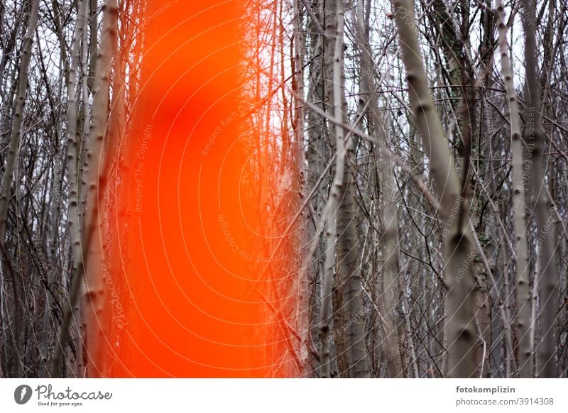 im Vordergrund unscharfer orange markierter Stamm im grauen kahlen Forstwald Natur Baum leuchtend orange Neonfarben Buchenwald forstamt Bäume Forstwirtschaft