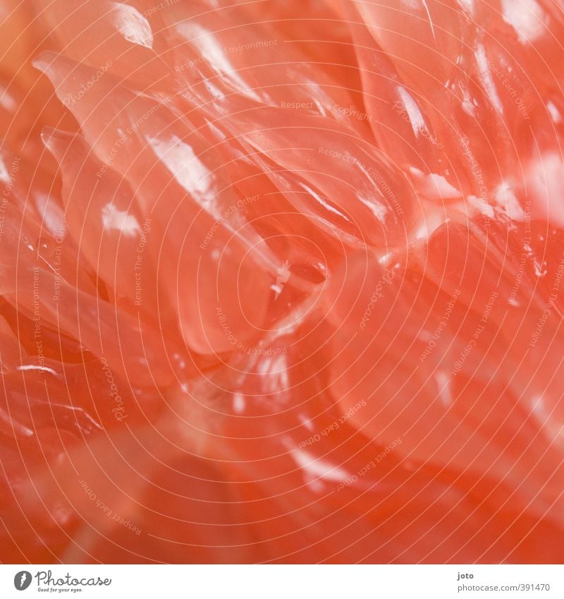 was ist es? Lebensmittel Frucht Duft frisch Gesundheit saftig schleimig exotisch süß sauer bitter Grapefruit lecker Gesunde Ernährung Foodfotografie rot