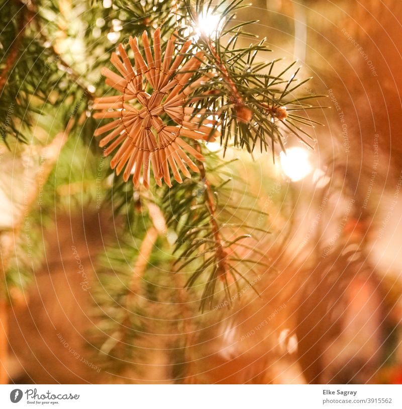 Strohstern am Weihnachtsbaum Weihnachten & Advent Weihnachtsdekoration Dekoration Feste & Feiern Menschenleer Farbfoto Innenaufnahme