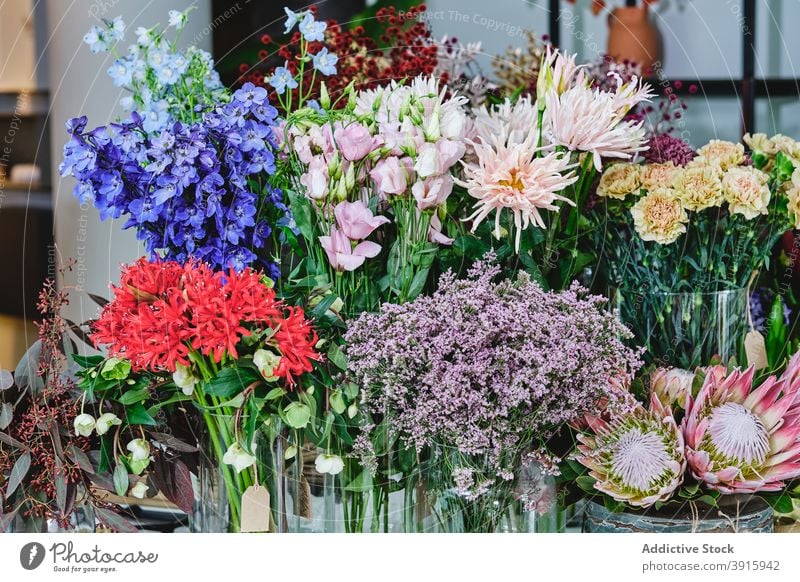 Verschiedene Pflanzen und Blumen im hellen Blumenladen geblümt Werkstatt sortiert verschiedene Salon Laden verkaufen farbenfroh Flora Blütezeit Blumenstrauß