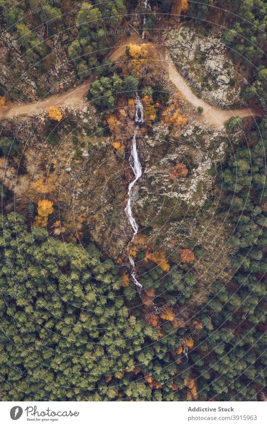 Erstaunlicher Blick auf den Fluss im Wald Wälder fließen erstaunlich spektakulär Umwelt Landschaft grün strömen idyllisch prunkvoll Baum Harmonie Gelassenheit