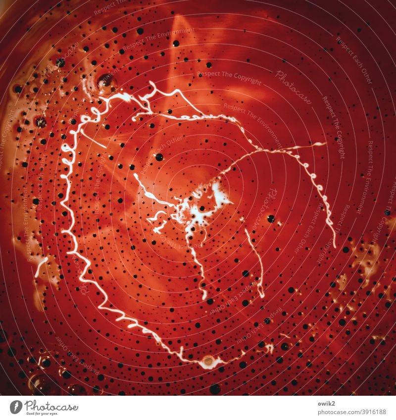 Spirale der Gewalt Farbe flüssig rot Farbstoff Schlieren weiß klebrig verlauf zweifarbig abstrakt Verlauf Nahaufnahme Detailaufnahme Flüssigkeit Kreativität