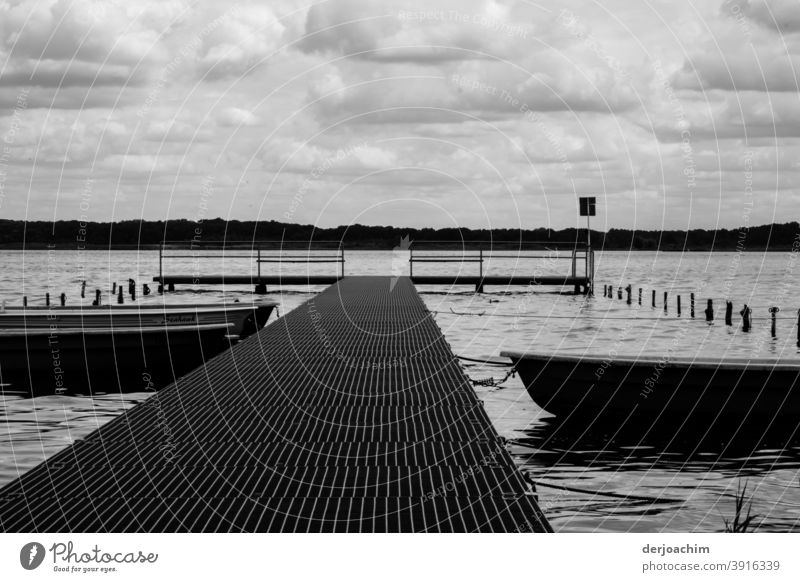 Der Weg zum See über den Steg. Bootssteg Wasser Menschenleer Natur Erholung Ferien & Urlaub & Reisen Tag Landschaft Idylle ruhig Himmel Seeufer Wolken Sommer