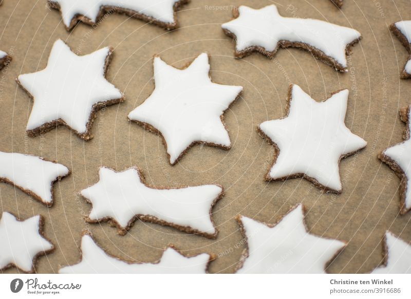 weiße Zimtsterne liegen auf Backpapier auf einem Backblech selbstgebacken Weihnachtsplätzchen Plätzchen Plätzchen backen Weihnachtsbäckerei Plätzchen ausstechen