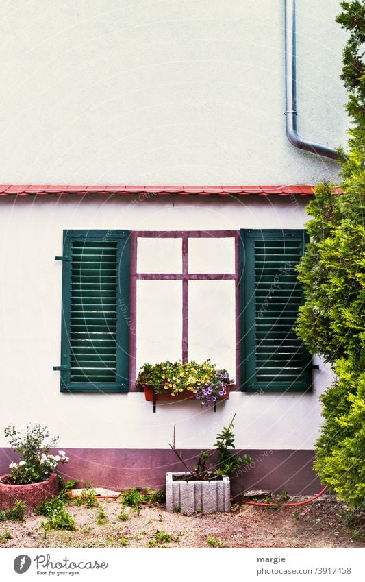 objektiv l Kein Fenster Haus Gebäude Mauer Vorgarten Bumen Menschenleer Pflanze Außenaufnahme Blumentopf Blumenkasten Fensterladen Regenrinne Dach Dachrinne