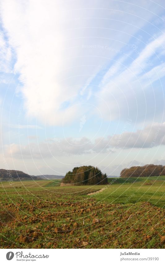 französische Landschaft Wiese Feld Wolken Frankreich Himmel Waldstück