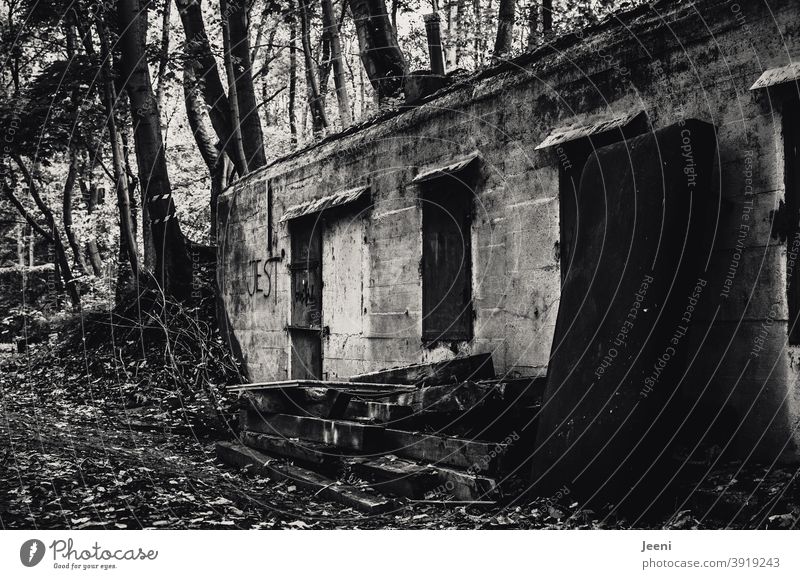 Alte eingewachsene Ruine mitten im Wald | Müll an der Hauswand | Tür und Fenster verschlossen und zugenagelt | lost place lost places verlassen dreckig