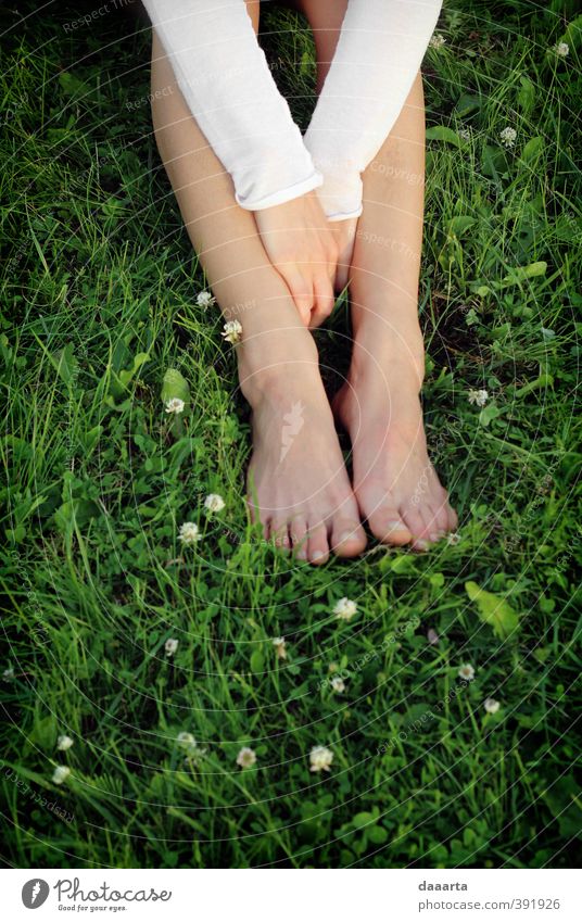 Nachmittag Sommer Ferien & Urlaub & Reisen Ausflug Abenteuer Freiheit Camping Sonne Veranstaltung Mensch feminin Junge Frau Jugendliche Erwachsene Schwester