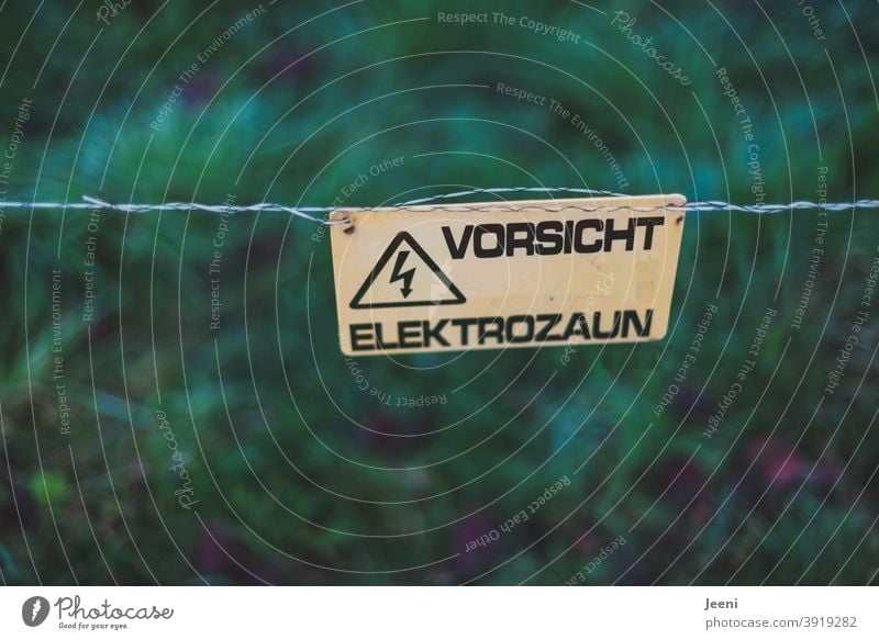 Vorsicht Elektrozaun | geschrieben auf einem gelben Warnschild an der Koppel für Tiere | das Schild ist befestigt an einem Stromdraht Vorsicht Hochspannung