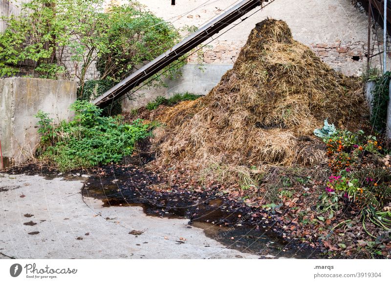 2020 (Symbolbild) Misthaufen Bauernhof Landwirtschaft Wand ländlich Stroh ökologisch Biologische Landwirtschaft