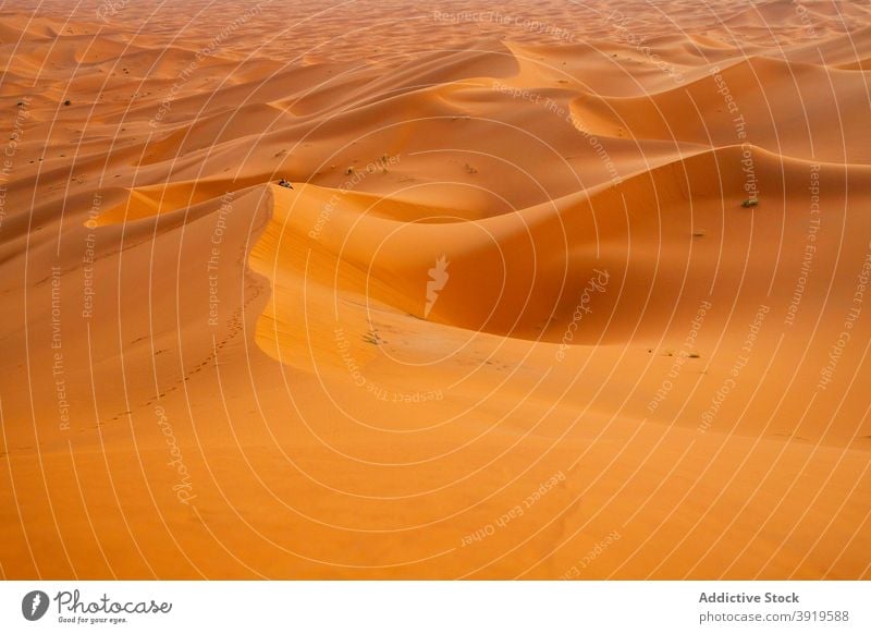 Sanddüne in der Wüste Düne wüst Marokko sonnig tagsüber Landschaft Natur trocknen winken heiß warm erwärmen trocken niemand Windstille ruhig Gelassenheit