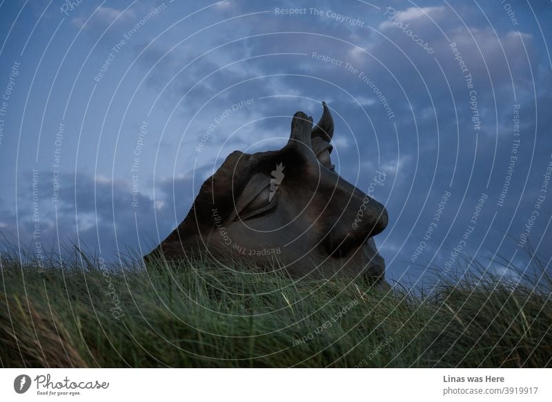 Malerische Ansicht am Meer der Niederlande. Dieses Denkmal befindet sich in Den Haag und ist so etwas wie eine halbgesichtige Statue. Die stimmungsvolle Atmosphäre wird in diesem Bild während der Aufnahme am Abend und ohne echte Menschen im Bild erzeugt.