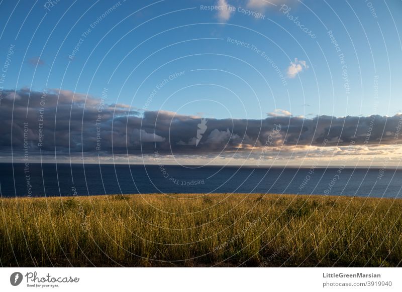 Blick auf das Meer am Morgen Meereslandschaft Wolken Blauer Himmel Sonnenlicht Farben Schattenspiel Licht Gras Feld grün blau Wasser kräuselt Wellen Seeküste