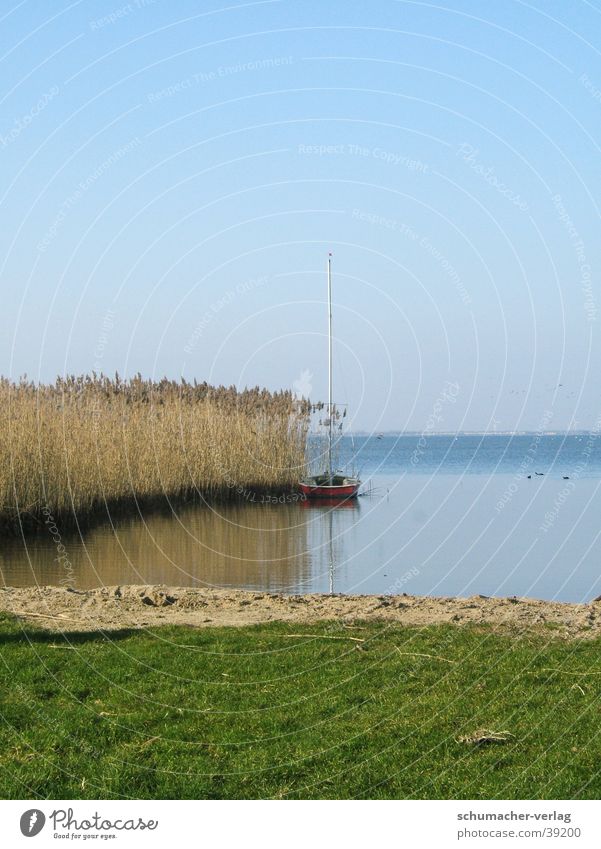 Binnensee See Meer Horizont Gras Strand Rietgras Küste