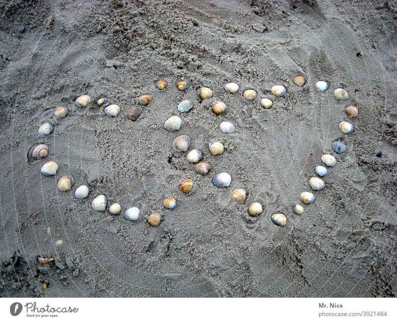 konform I herz in herz Herz Symbol Strand Muscheln Romantik Verliebtheit Liebe herzlich Zeichen Liebesbekundung herzförmig Liebeserklärung Sandstrand Ufer