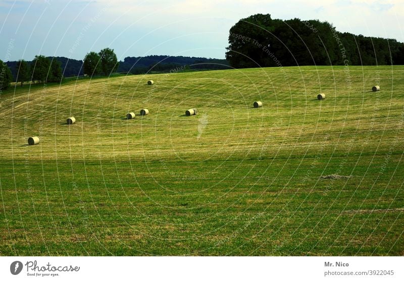 Heuernte Landschaft Natur Wiese Feld grün Gras Heuballen Ernte Landwirtschaft Ackerbau Hügel hügelig ländlich Umwelt Himmel Wald landwirtschaftlich Heu machen