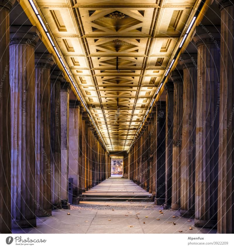 Tunnelblick Zentralperspektive Menschenleer Säulen Säulengang Architektur Farbfoto Symmetrie Sehenswürdigkeit Berlin Bauwerk Außenaufnahme Stadtzentrum