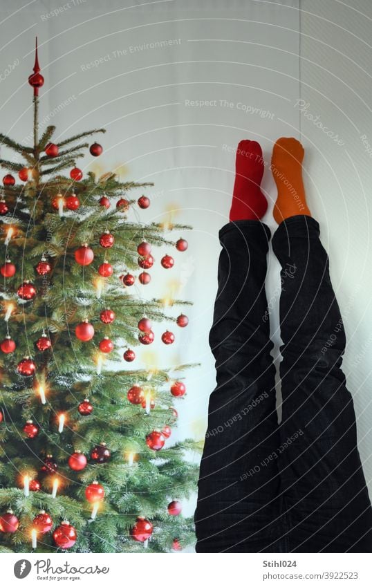 Weihnachten steht Kopf Christbaum Christbaumkugel Kopfstand kopfüber Corona Chaos Durcheinander TAnnenbaum Christbaumschmuck Lichterkette Hose Socken rot orange