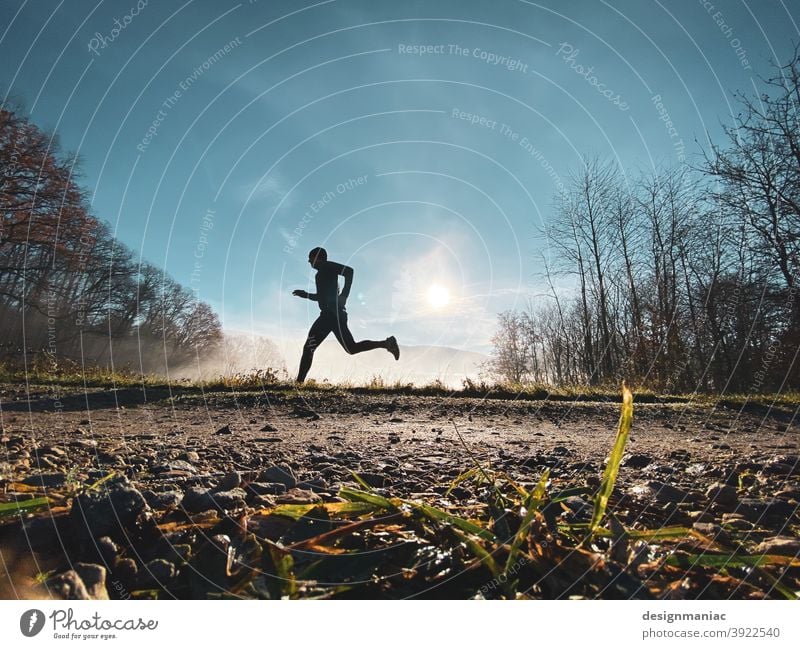 Akte X: Der Jogger im Nebel Teil 2. Die Flucht. Silhouette über den Wolken erstaunlich mystisch Akte x Bäume Wege & Pfade Gras kalt kalte jahreszeit Himmel