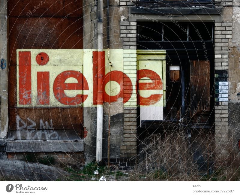 Trotz allem Farbfoto Zerstörung Vergänglichkeit Verfall Romantik Liebe braun kaputt Häusliches Leben Graffiti Schriftzeichen Zeichen Fassade Ruine Menschenleer