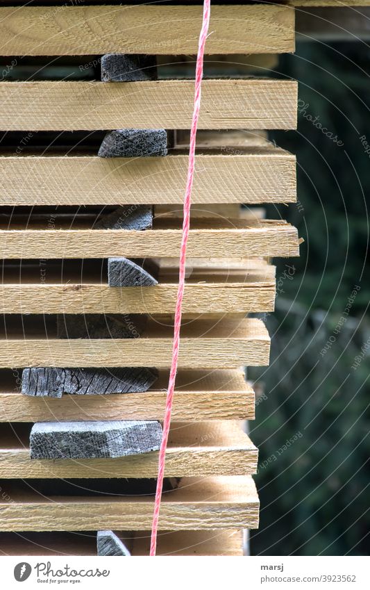 Holzbretter in verschiedenen Stärken. Gestapelt zum Trocknen und mit einer roten Schnur gesichert. Bauholz Distanzhölzer distanzieren frisch Zwischenraum