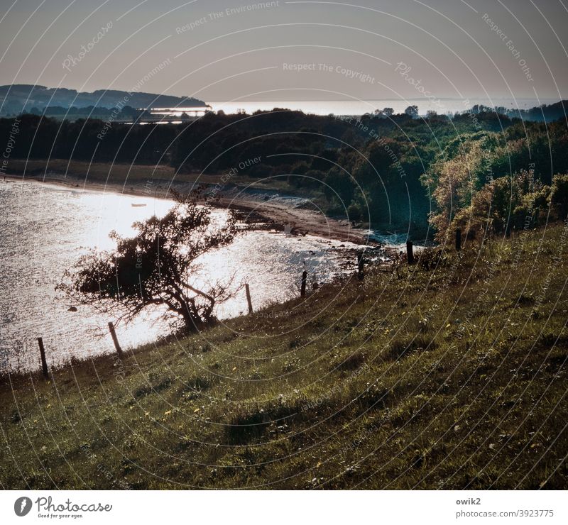 Klein Zicker Ostsee Mönchgut Halbinsel Rügen Deutschland glänzend Wege & Pfade leuchten Farbfoto Gedeckte Farben Menschenleer Außenaufnahme Ferne Idylle hell