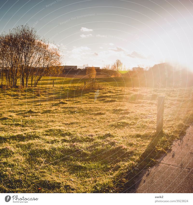 Wegesrand Schönes Wetter Umwelt Sträucher Idylle lichtdurchflutet Herbst Menschenleer Außenaufnahme Farbfoto Natur Wiese Lichtung Sonne Gegenlicht Sonnenlicht