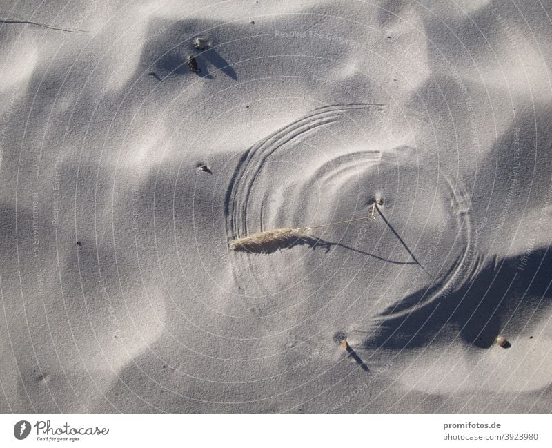 Kornkreise am Strand von Amrum. Foto: Alexander Hauk Sand Insel Deutschland Ferien Freizeit Urlaub reisen tourismus presse pressereise Journalismus