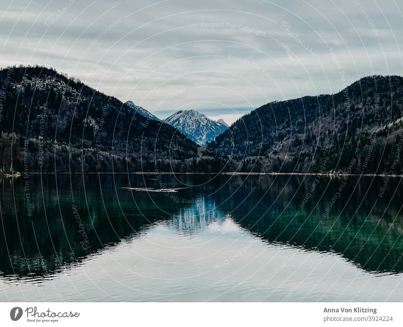 Alpsee im Winter Bergsee Schneebedeckte Gipfel Berge u. Gebirge Wald See klares Wasser türkis Spiegelung bewölkt Natur Landschaft Außenaufnahme Menschenleer