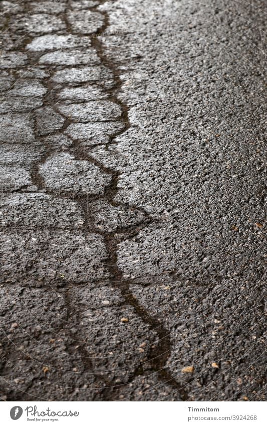 Klagelied einer desolaten Straße Asphalt Verkehrswege Risse Linien feucht glänzend