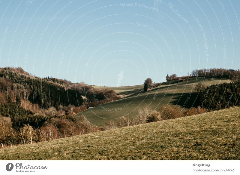 Landschaft Sauerland wandern camping entdecken abenteuer bewegung landschaft natur bäume baum wiese sauerland berge hügel geschwungen gebogen grün