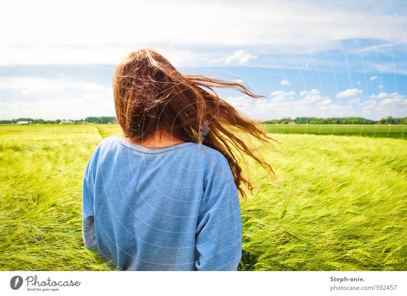 Wohin der Wind sie treibt feminin Junge Frau Jugendliche Erwachsene 1 Mensch Himmel Wolken Sommer Schönes Wetter Getreide Getreidefeld Feld langhaarig drehen