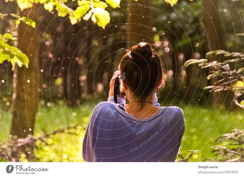 Ein bisschen Zauberei feminin Junge Frau Jugendliche Rücken 1 Mensch Sommer Baum Sträucher Wald beobachten genießen Blick träumen außergewöhnlich frei Neugier