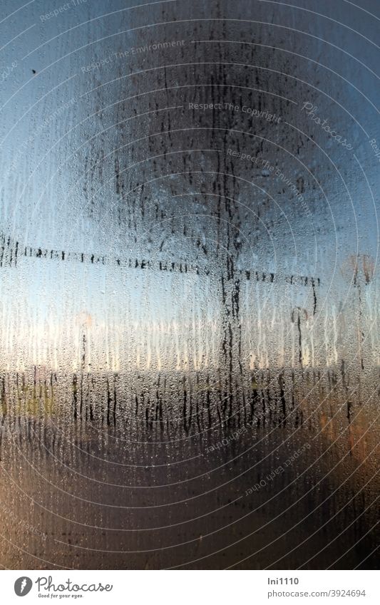 Kondenswasser an Glasscheibe im Hintergrund der Außenterrasse ist ein Baum sichtbar Sonnenlicht blauer Himmel sonneneinstrahlung Wärme Aussenkondensat