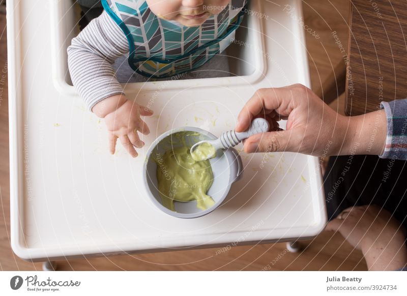 6 Monate altes Baby sitzt im Hochstuhl mit einer Schüssel pürierter Avocado; die Hand des Vaters hält den geladenen Löffel Säugling Kind Püree selbstgemacht