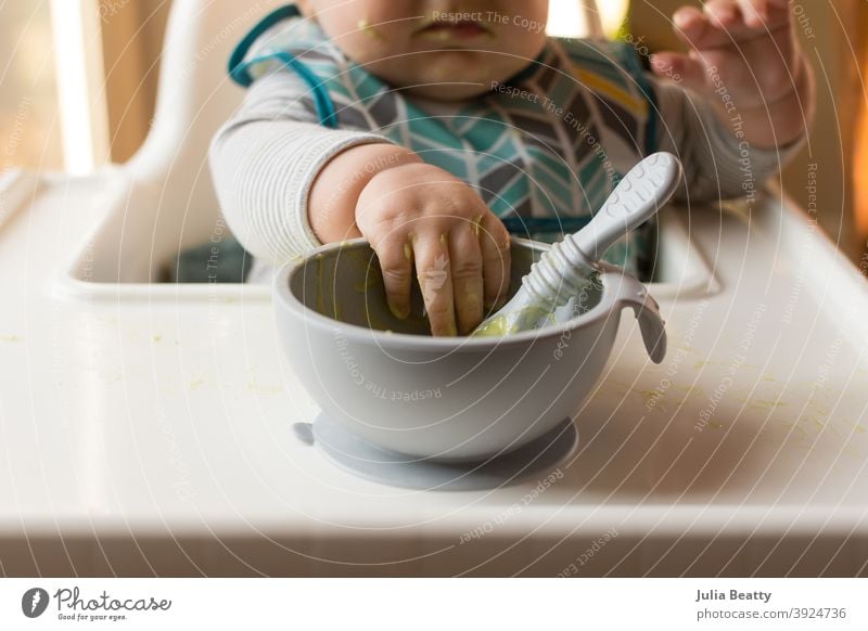 6 Monate altes Baby im Hochstuhl greift nach einer Schüssel mit Babynahrung und Löffel Säugling Kind Avocado Püree selbstgemacht Entwöhnung