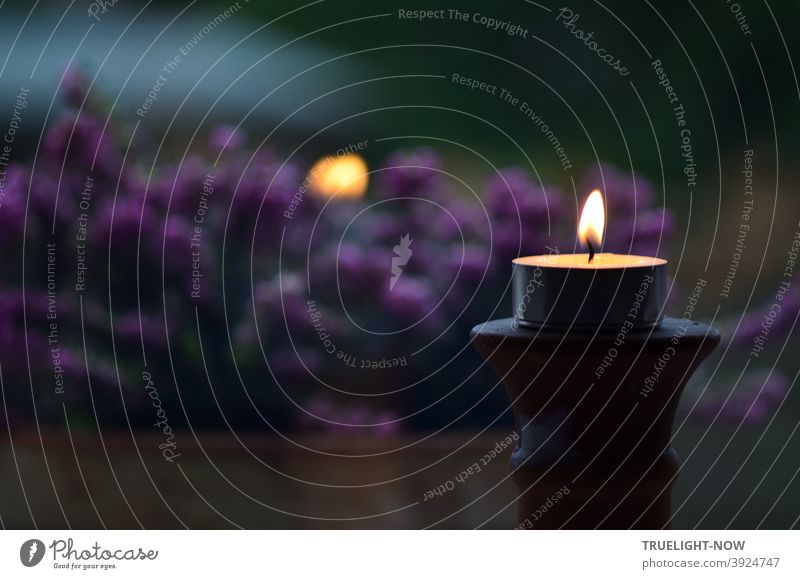 Stille Nacht... Abendstimmung mit Teelicht, das sich auf einem Kerzenständer in der Fensterscheibe spiegelt. Dahinter verschwommen violette Heidekraut Blüten und etwas Garten