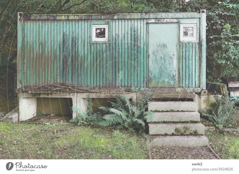 Blechschachtel Container Metall eckig kompakt grün massiv Baum geschlossen schwer Tür verbarrikadiert einfach Menschenleer Außenaufnahme Farbfoto Detailaufnahme