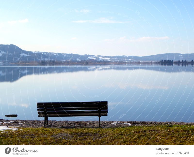 zur Ruhe kommen... Bank See Winter Berge Alpen Berge u. Gebirge Schnee Landschaft blau Reflexion & Spiegelung kalt ruhig Wasser Natur Erholung frei leer