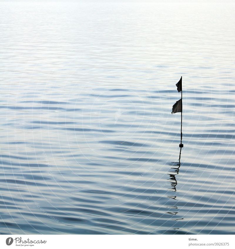 Ostseefähnchen orientierung spiegelung wellen meer wasser uneben oberfläche nass fahne merkmal sanft ostsee schwarz doppelt silhouette schatten gegenlicht