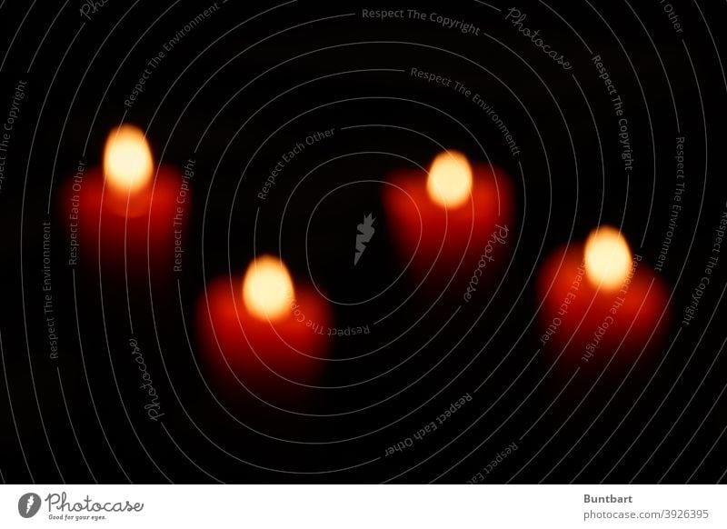 4 Adventskerzen vierter Advent 4. Advent 4 Kerzen Weihnachten & Advent Dekoration & Verzierung Kerzenschein Stimmung Flamme Adventskranz Licht festlich