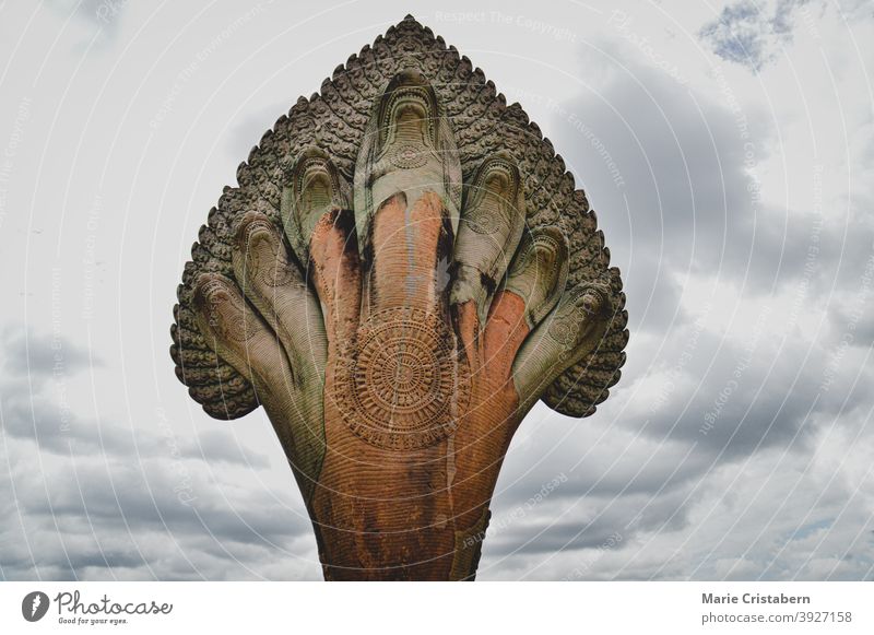 Skulptur eines siebenköpfigen Naga-Fabelwesens in Angkor Wat in Siem Reap, Kambodscha naga siebenköpfige Naga Asien keine Menschen Reiseziel