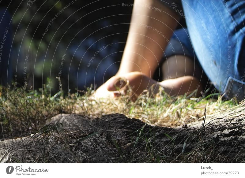 Zehohweh Zehen ruhig Wiese Tiefenschärfe Sommer Wurzel sitzen Fuß Barfuß