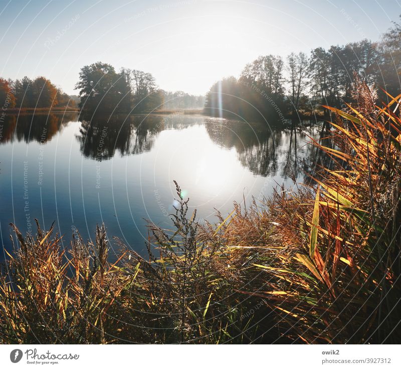 Flutlicht Sonnenaufgang Sonnenlicht Reflexion & Spiegelung Gegenlicht Lichterscheinung Morgen Schatten Kontrast Textfreiraum Mitte Textfreiraum oben