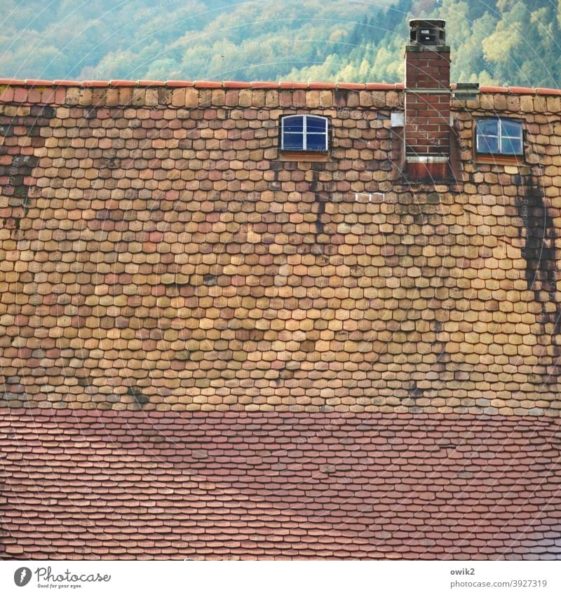 Dachwohnung alt Dachfenster Dachziegel Fenster hoch oben Gebäude Haus Detailaufnahme Außenaufnahme Farbfoto Verfall historisch Fassade Zahn der Zeit verwohnt