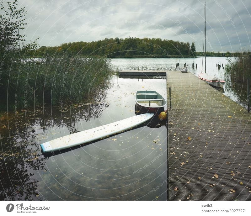 Bretter, die die Welt ... Steg Wasser Anlegestelle Holz Pause Idylle ruhig geduldig Seeufer Schönes Wetter Natur Umwelt Windstille Farbfoto Gedeckte Farben