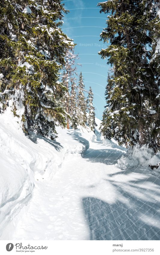 Sonntag, Zeit für einen Wintertraum-Spaziergang Wintertag Wanderwege Schnee winterlich Spazierweg Winterwald Winterzauber Winterurlaub Natur kalt Winterstimmung